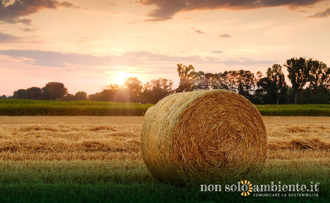 Consegnato il rapporto finale sul futuro dell’agricoltura nell’UE