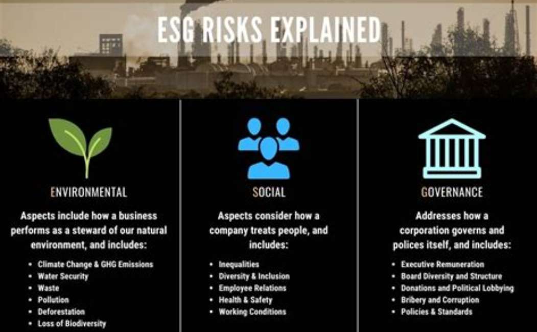 Cos’è un ESG risk manager?